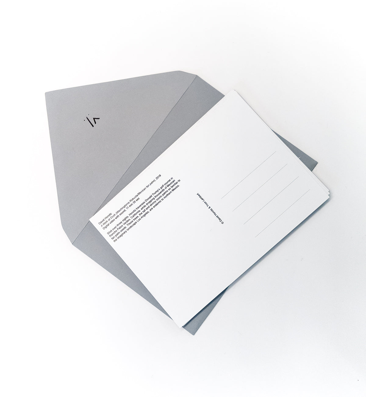 David Horvitz - "A Walk at Dusk (Washington Robusta / Mexican fan palm)" postcard set