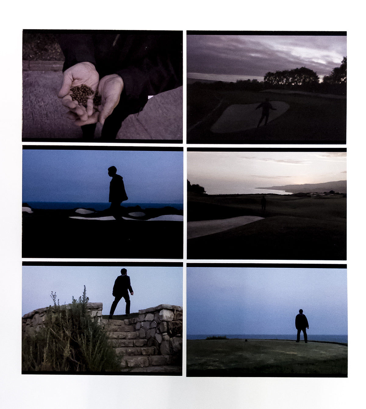 David Horvitz - "A Walk at Dusk (Washington Robusta / Mexican fan palm)" postcard set