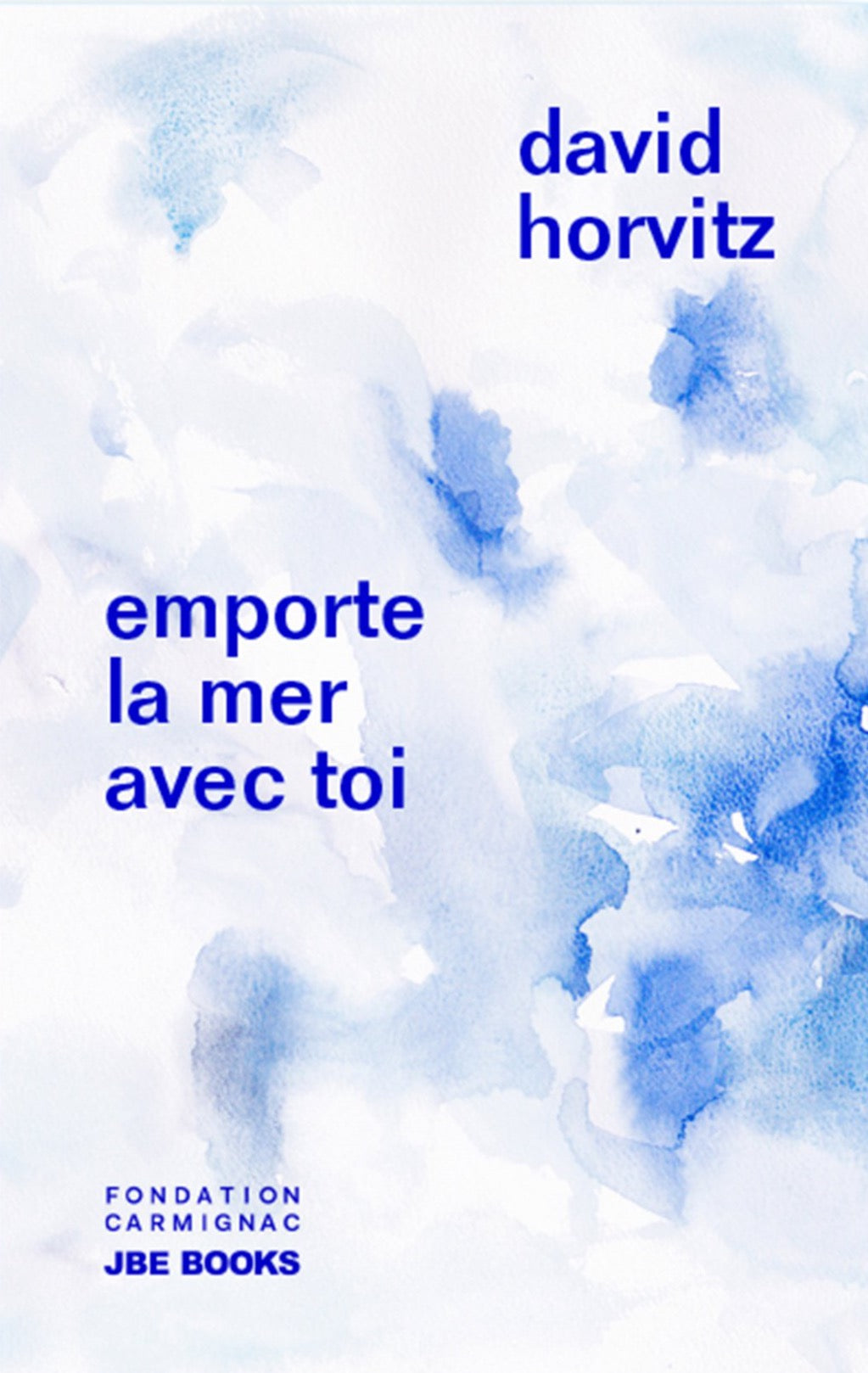 David Horvitz - Emporte la mer avec toi / Adjust the level of the sea