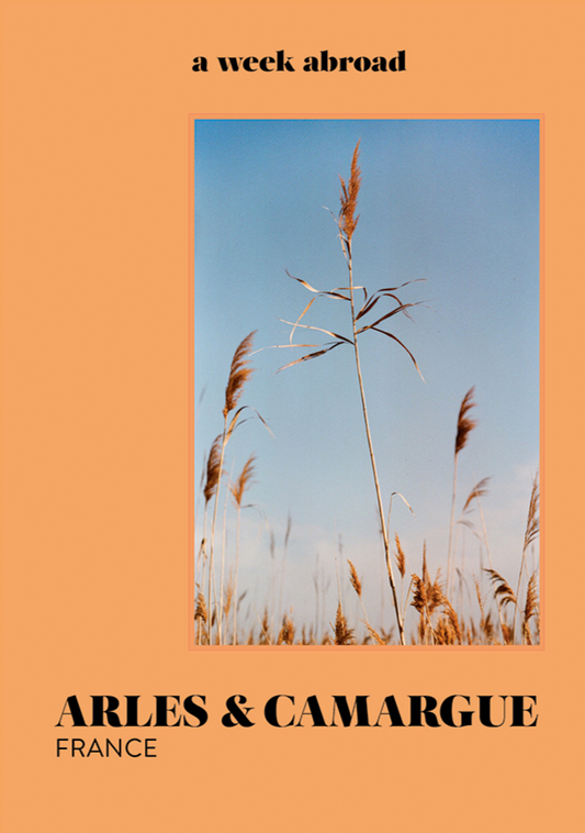 A Week Abroad - Arles & Camargue