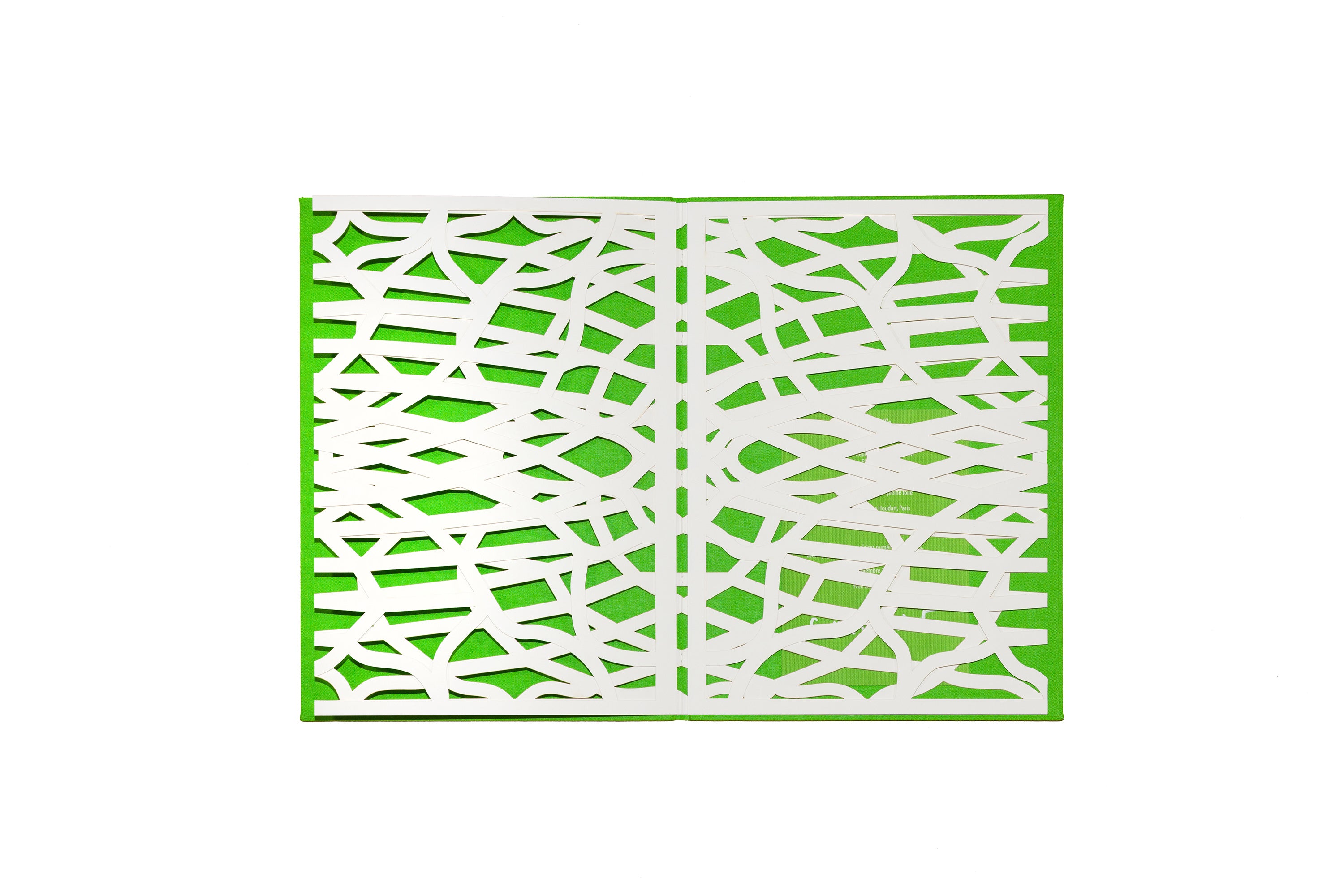 Ernesto Neto - Sooouuuffle