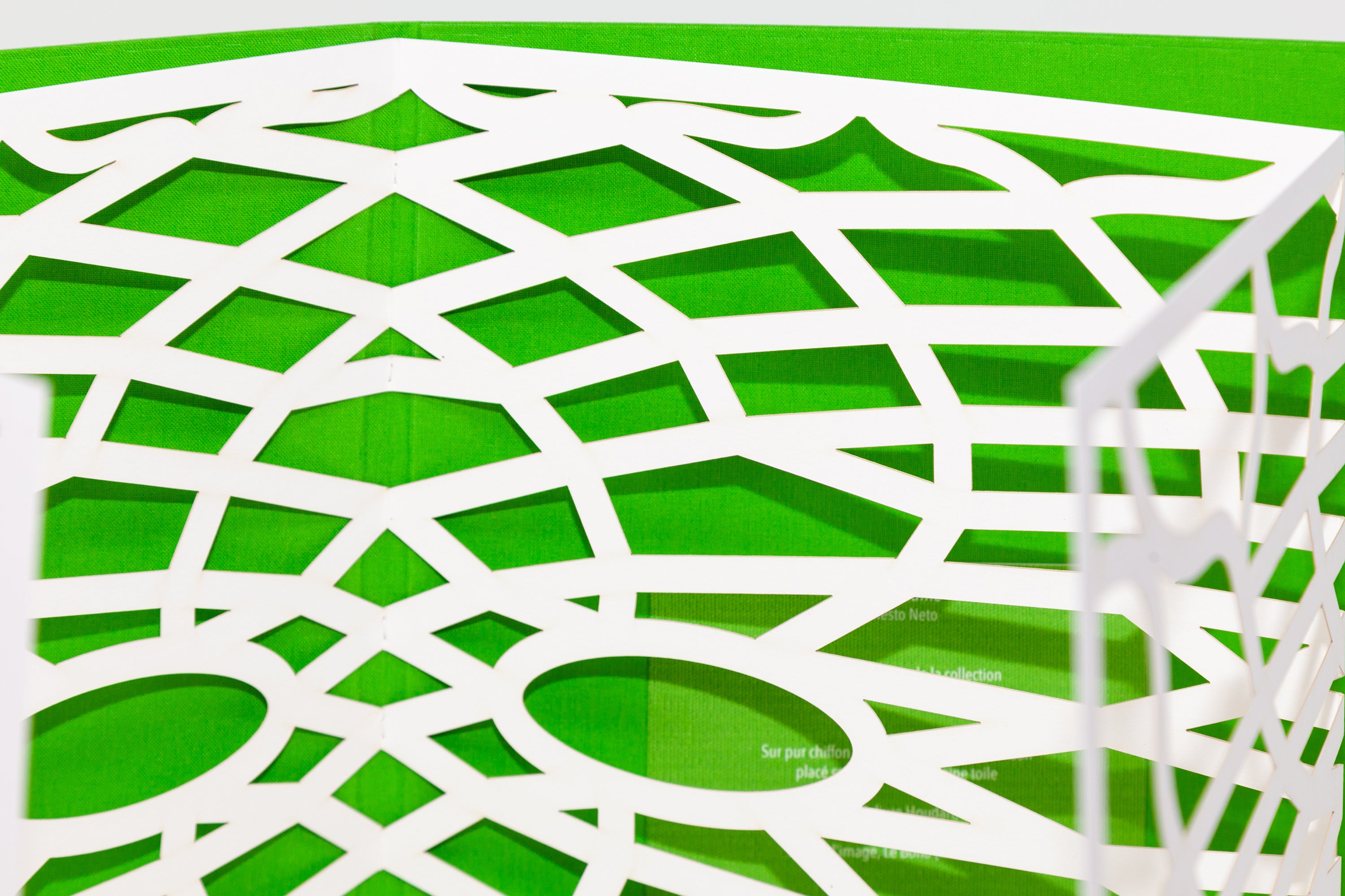 Ernesto Neto - Sooouuuffle