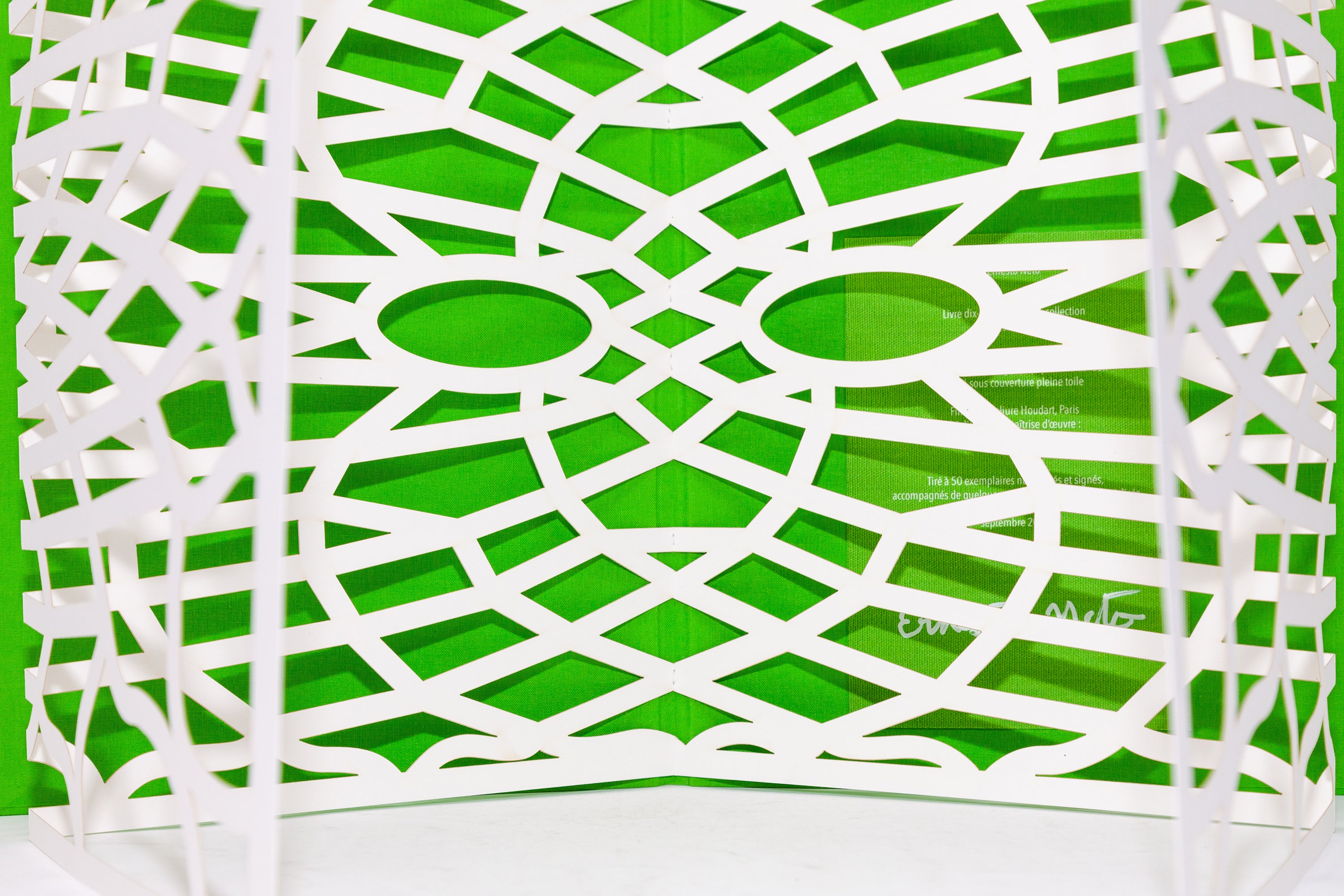 Ernesto Neto - Sooouuuffle