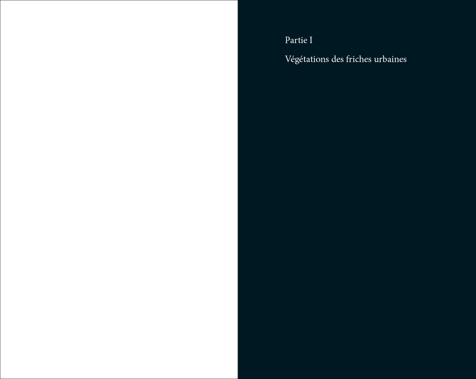 Audrey Muratet, Myr Muratet, Marie Pellaton - Flore des friches urbaines