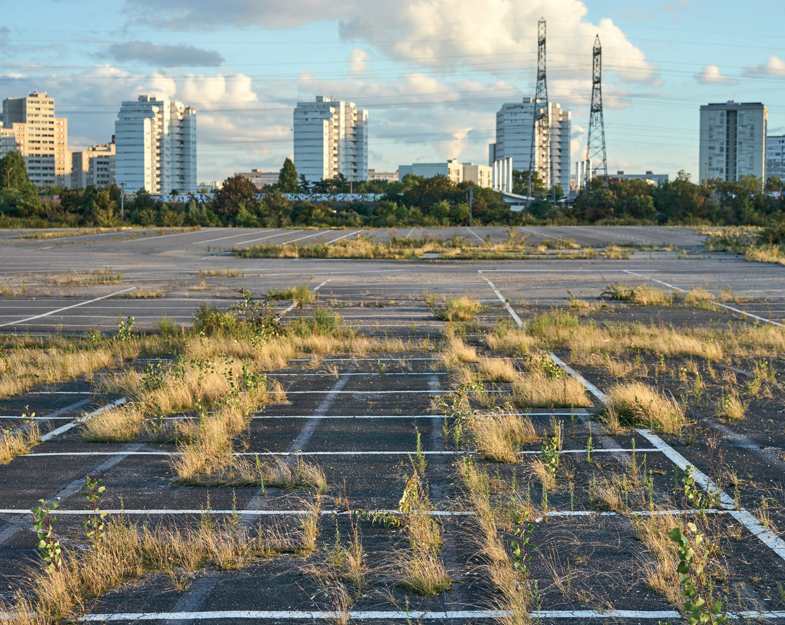 Audrey Muratet, Myr Muratet, Marie Pellaton - Flore des friches urbaines