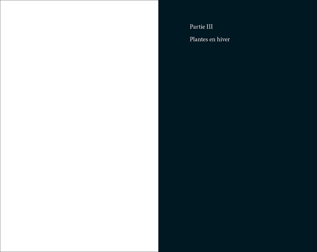 Audrey Muratet, Myr Muratet, Marie Pellaton - Flore des friches urbaines