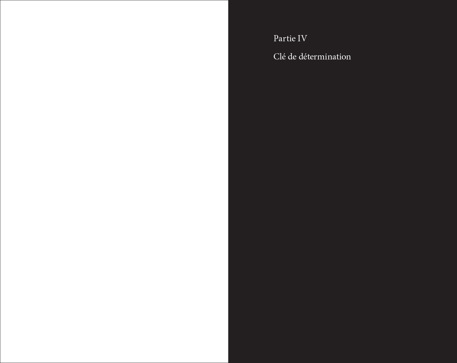 Audrey Muratet, Myr Muratet, Marie Pellaton - Flore des friches urbaines