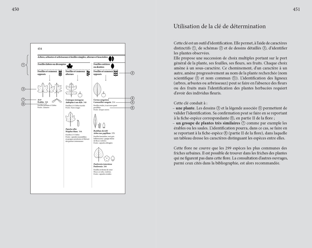 Audrey Muratet, Myr Muratet, Marie Pellaton - Flore des friches urbaines