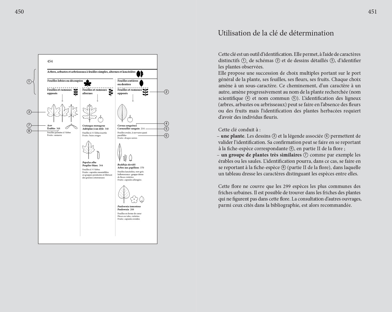 Audrey Muratet, Myr Muratet, Marie Pellaton - Flore des friches urbaines