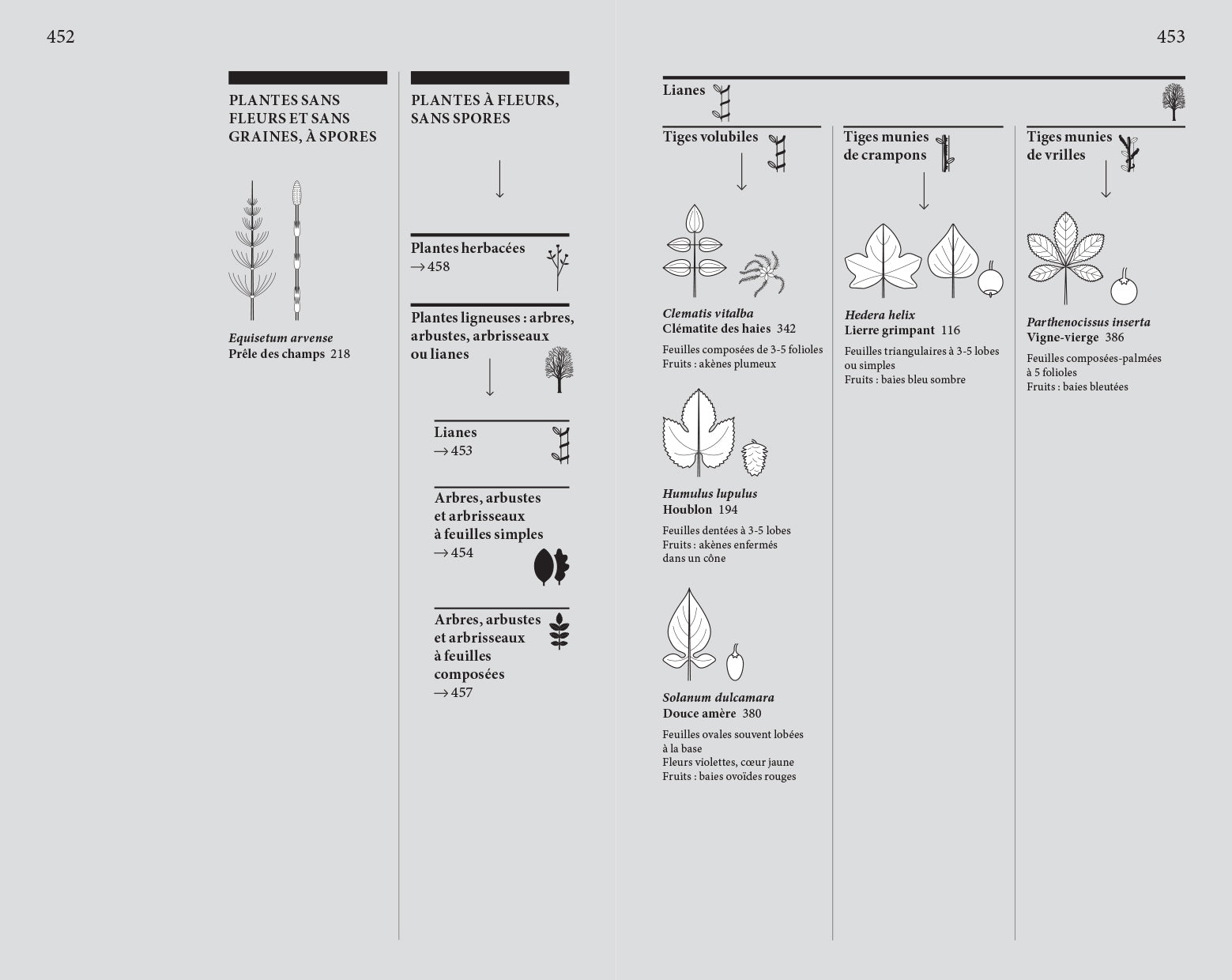 Audrey Muratet, Myr Muratet, Marie Pellaton - Flore des friches urbaines
