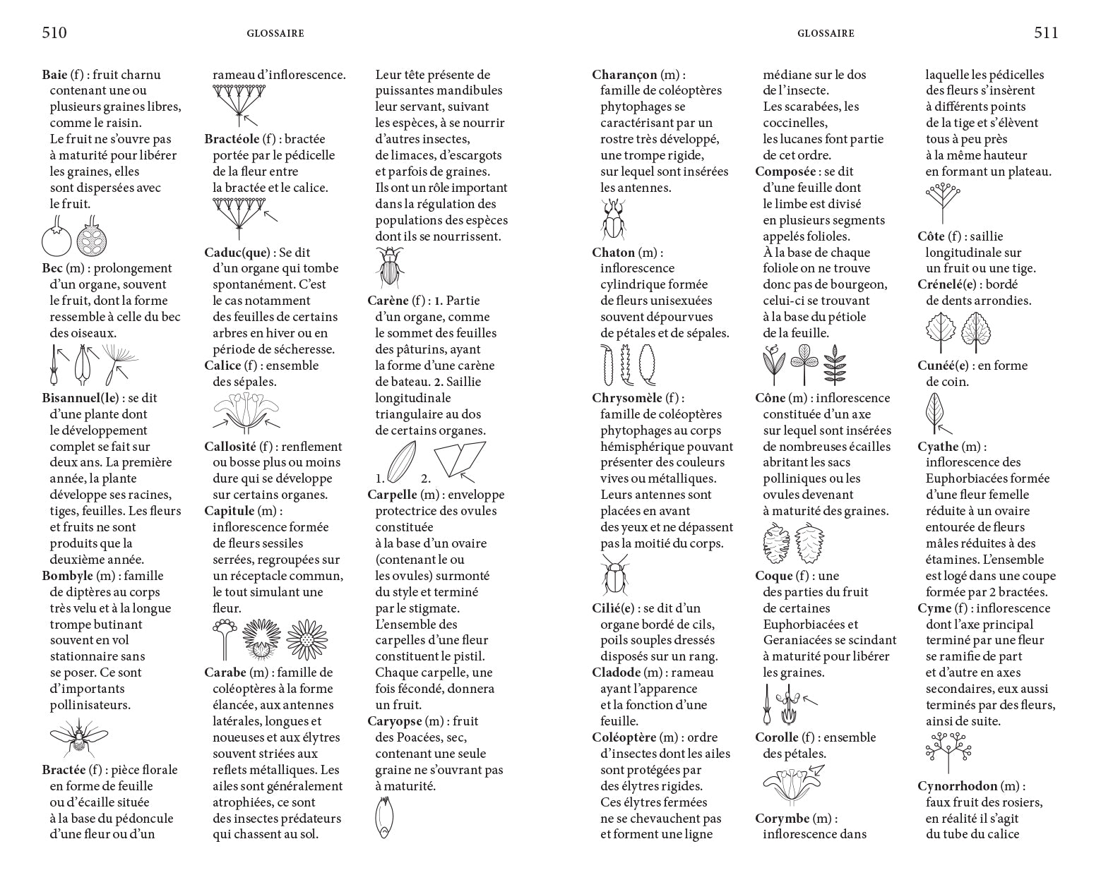 Audrey Muratet, Myr Muratet, Marie Pellaton - Flore des friches urbaines