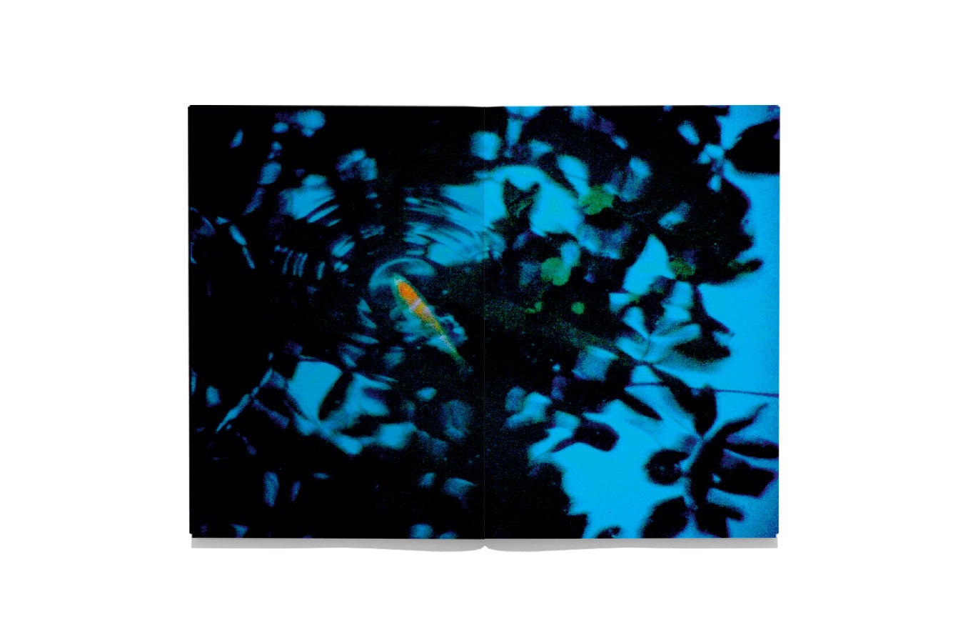 Seiichi Furuya - First Trip to Bologna 1978 / Last Trip to Venice 1985