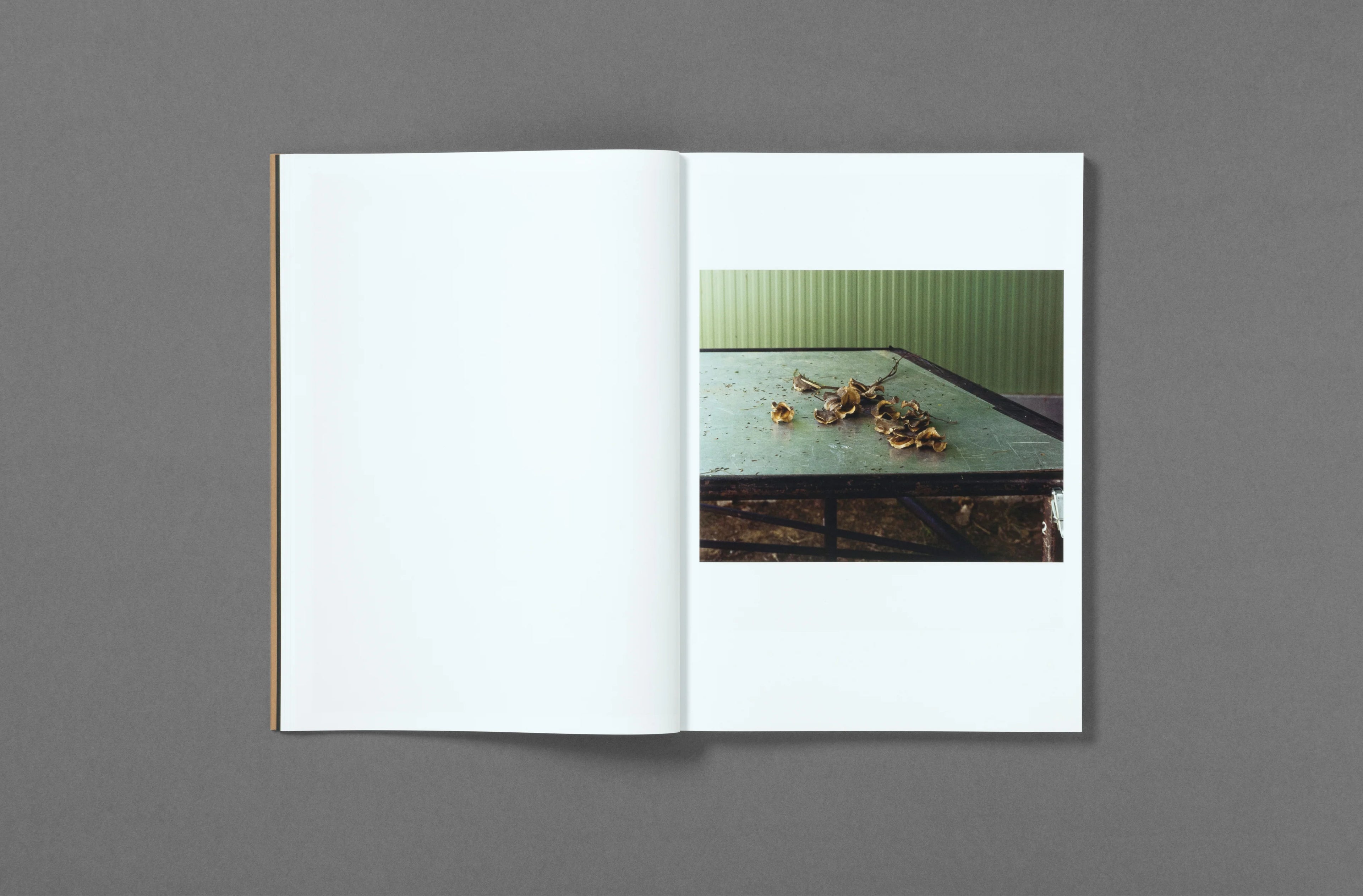 Felipe Romero Beltrán – Dialect