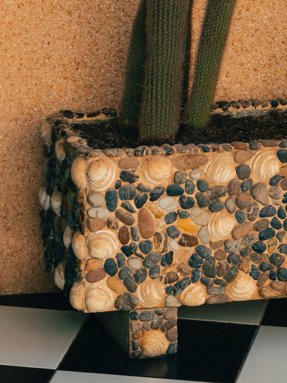 Romain Laprade - Galets et coquillages, Minorque, 2022