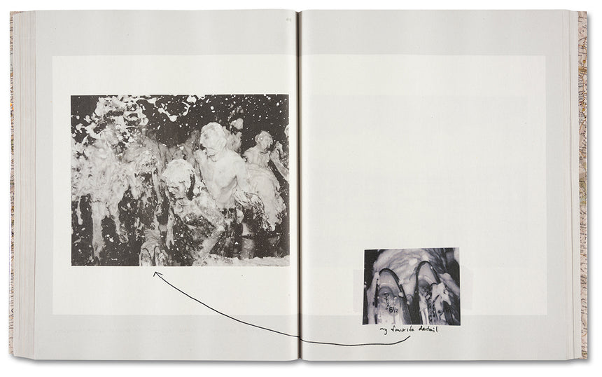 Alec Soth - Gathered Leaves Annotated (Signed)