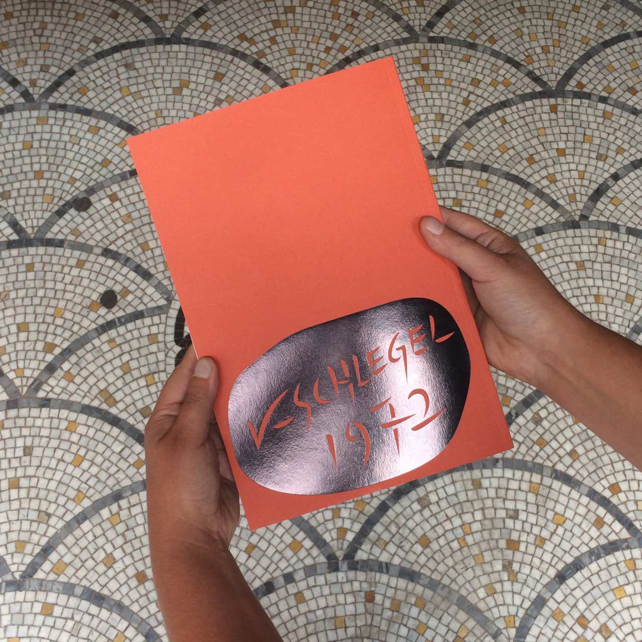 Valentine Schlegel - Je dors, je travaille (Texte par Hélène Bertin)