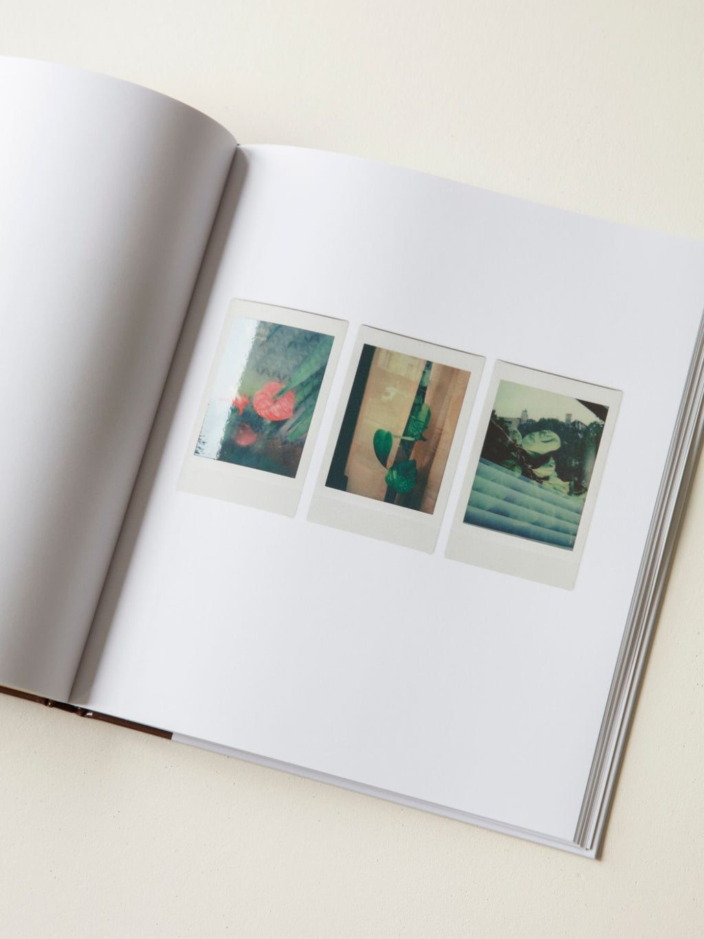 Romain Laprade - Polaroids