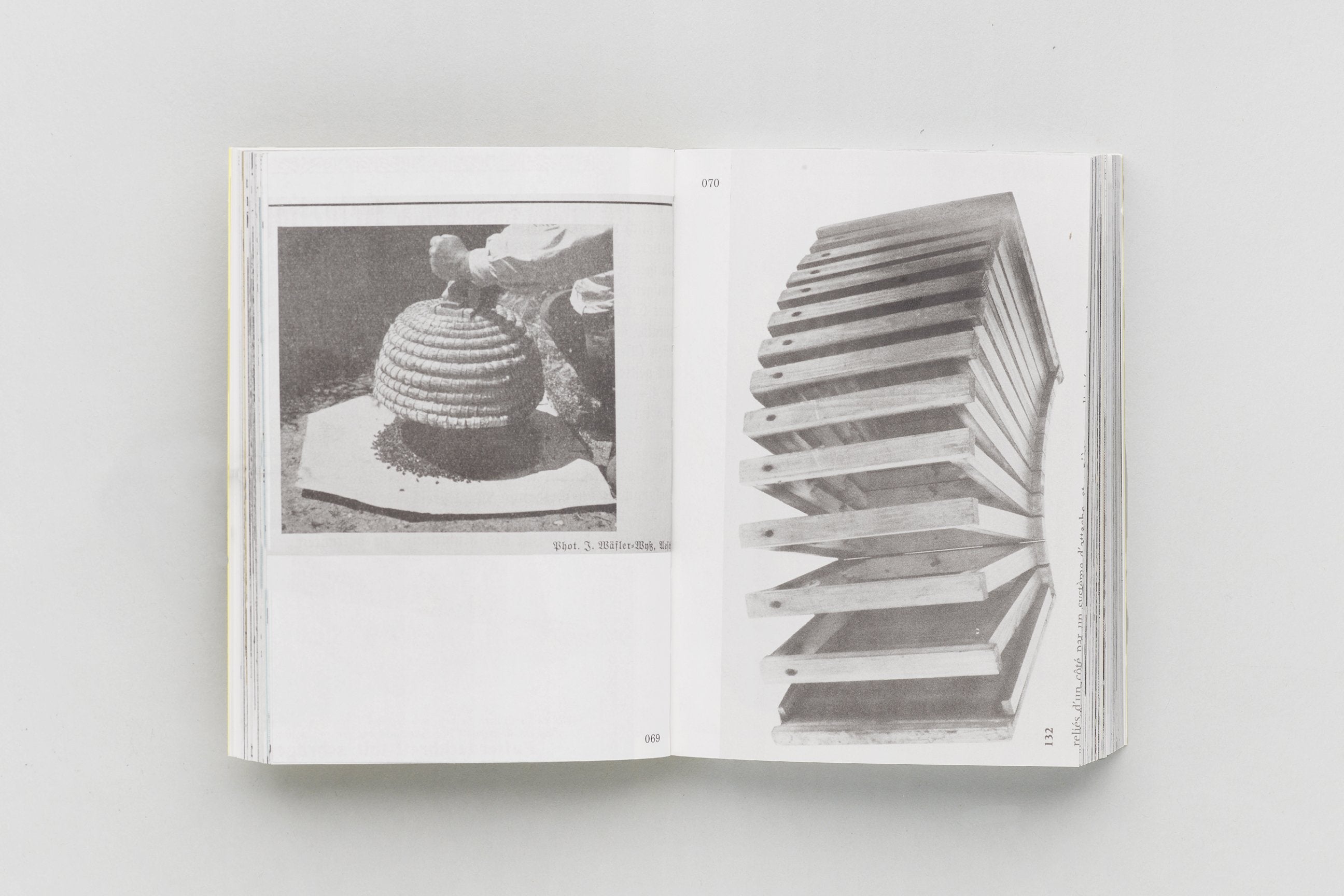 Aladin Borioli (Apian) - RUCHES, 2400 A.E.C. – 1852 E.C. (Une Histoire visuelle de la ruche)