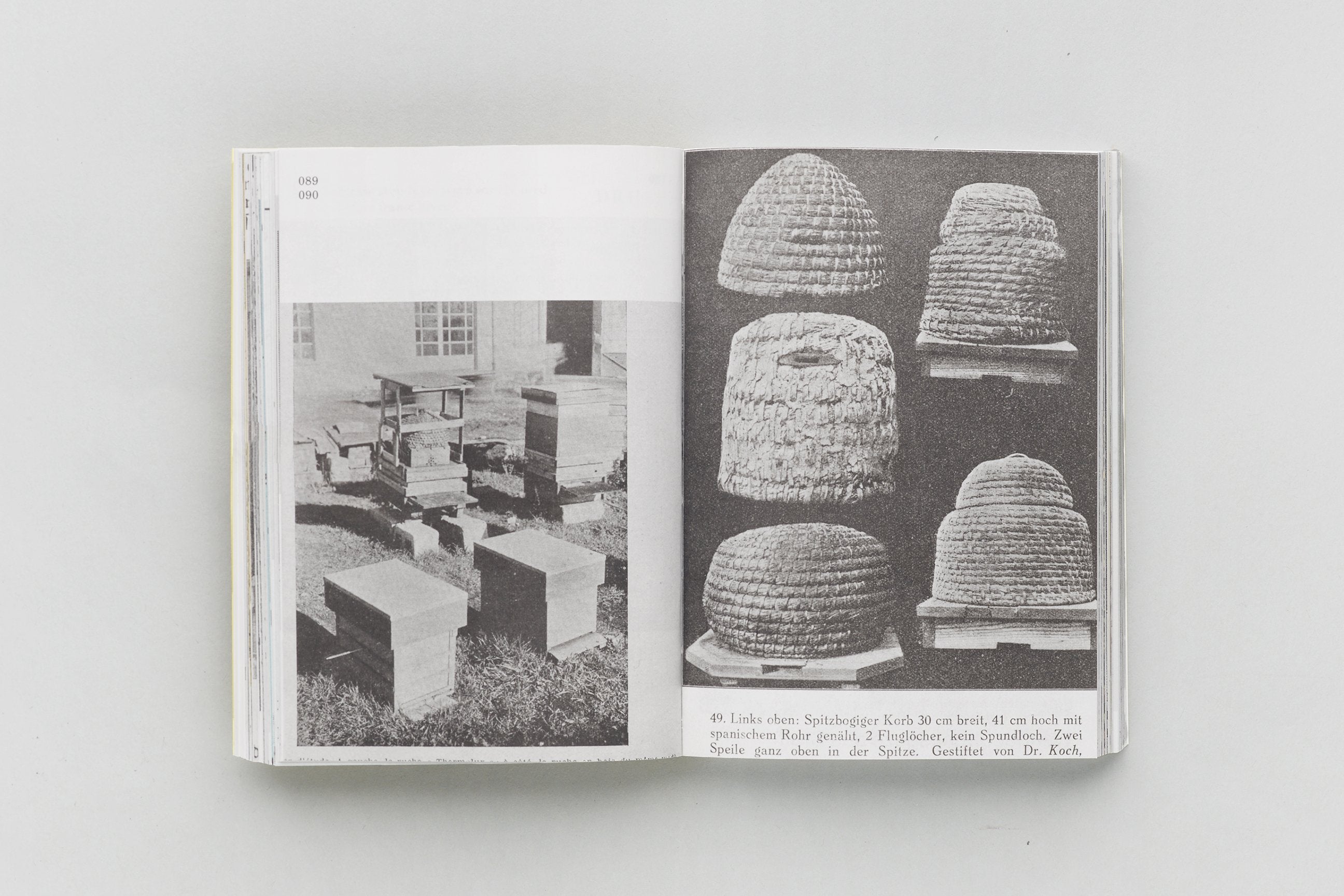 Aladin Borioli (Apian) - RUCHES, 2400 A.E.C. – 1852 E.C. (Une Histoire visuelle de la ruche)