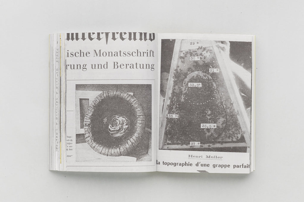 Aladin Borioli (Apian) - RUCHES, 2400 A.E.C. – 1852 E.C. (Une Histoire visuelle de la ruche)