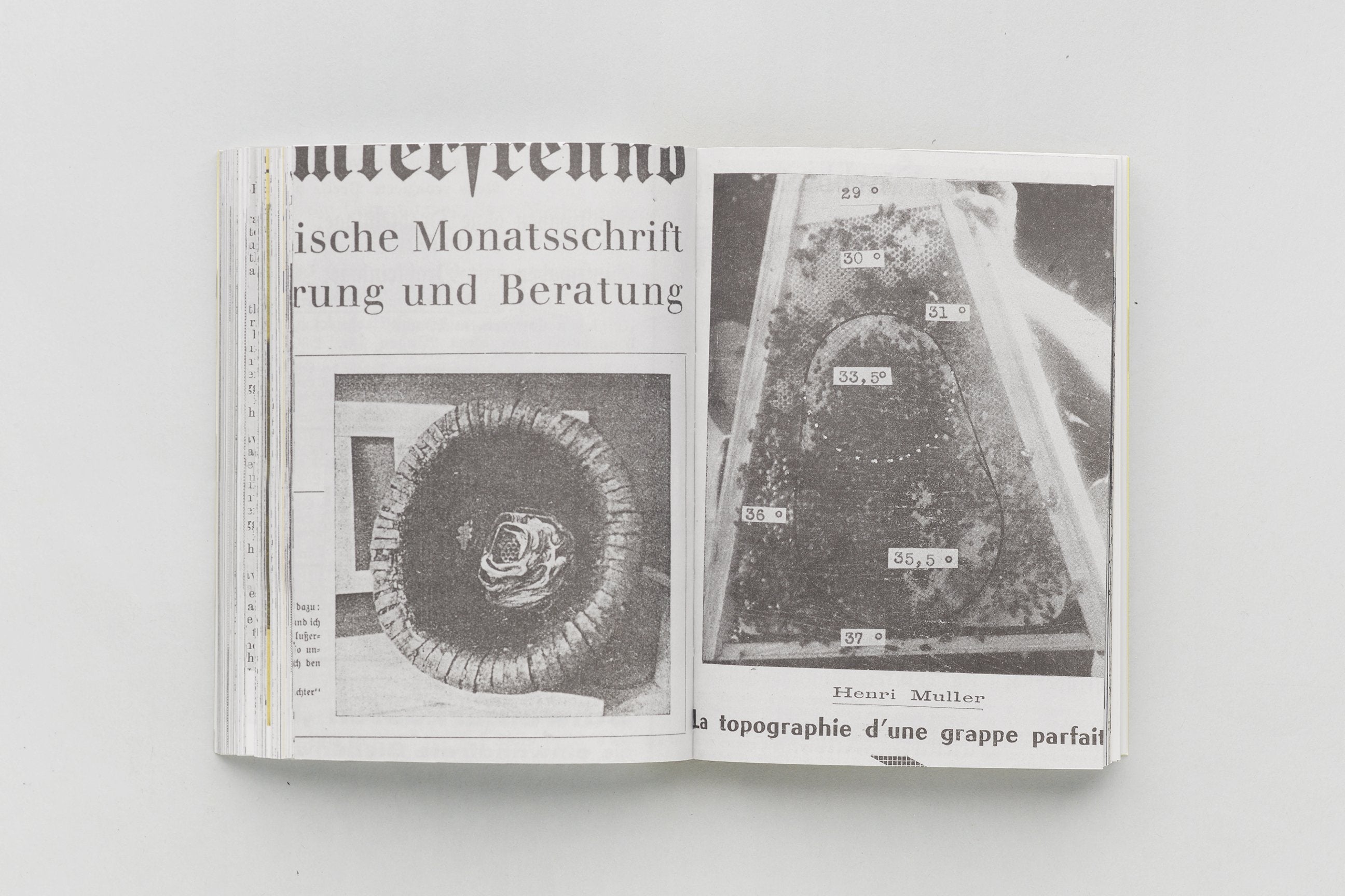 Aladin Borioli (Apian) - RUCHES, 2400 A.E.C. – 1852 E.C. (Une Histoire visuelle de la ruche)