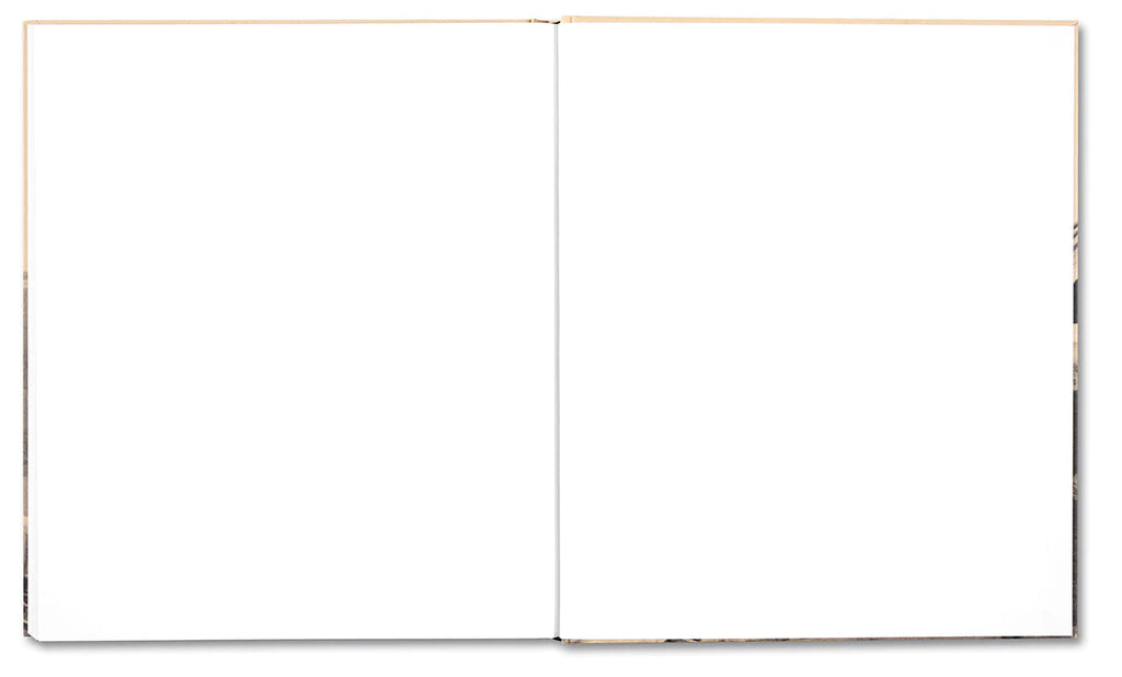 Ursula Schulz-Dornburg - Huts, Temples, Castles (Signed)