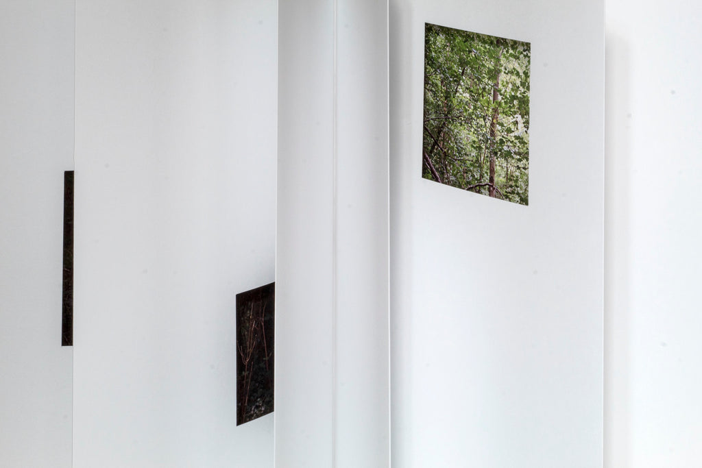 Quentin Lefranc - Panorama