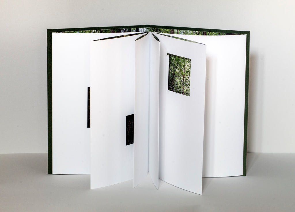 Quentin Lefranc - Panorama