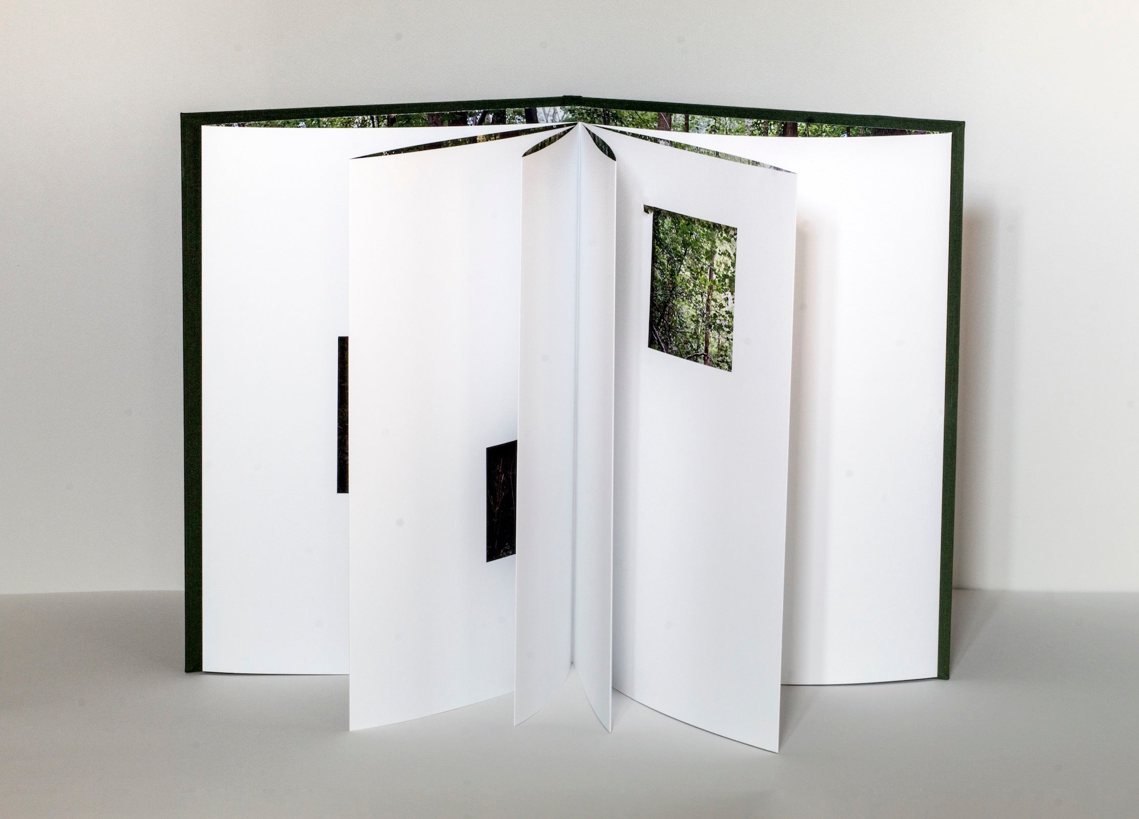 Quentin Lefranc - Panorama