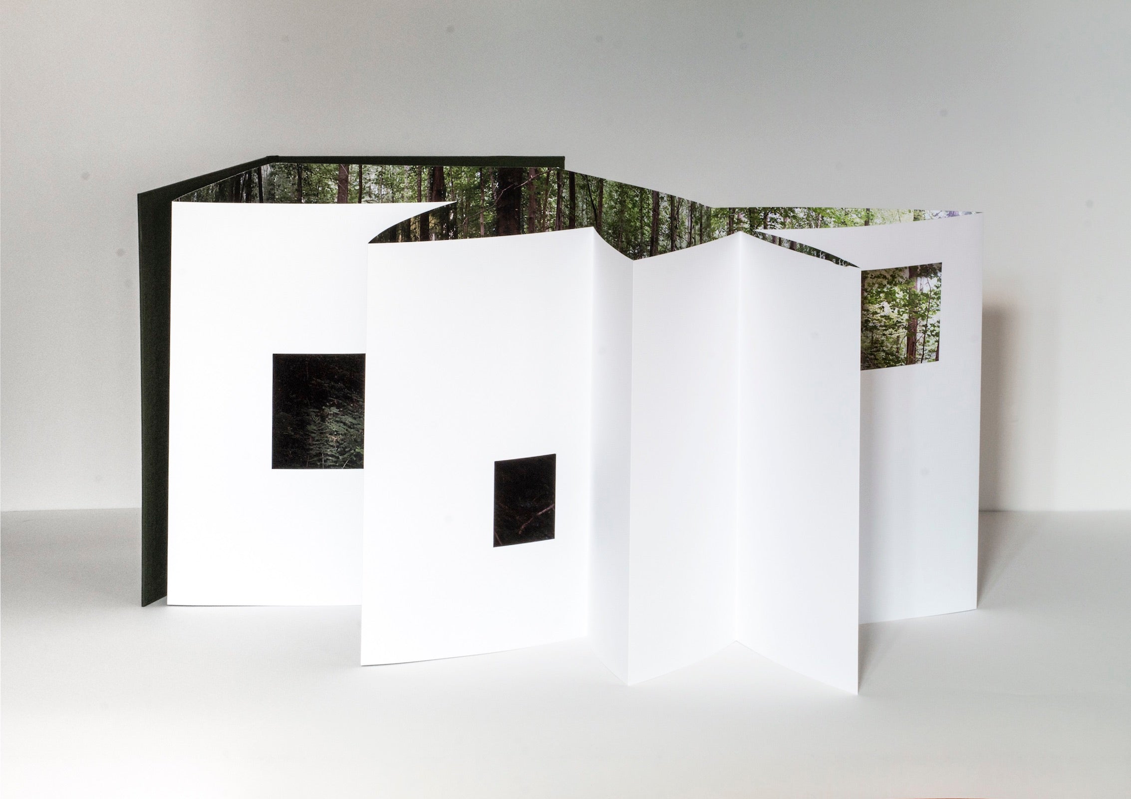 Quentin Lefranc - Panorama