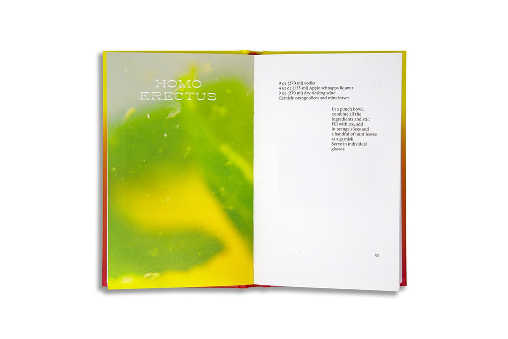 Guillaume Aubry & Sterling Hudson - Sunset Cocktails