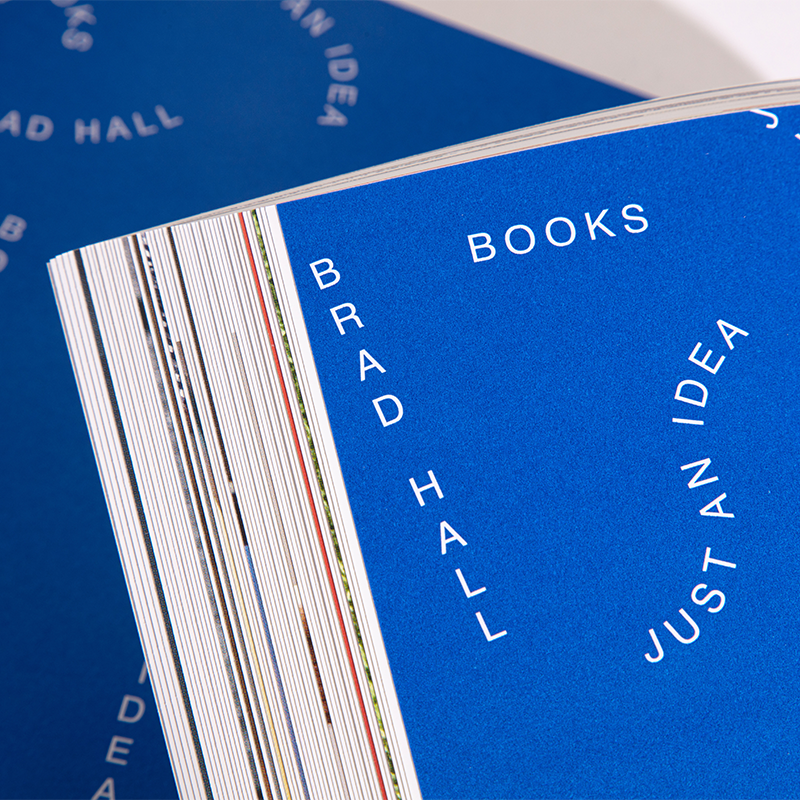 JUST AN IDEA - BRAD HALL