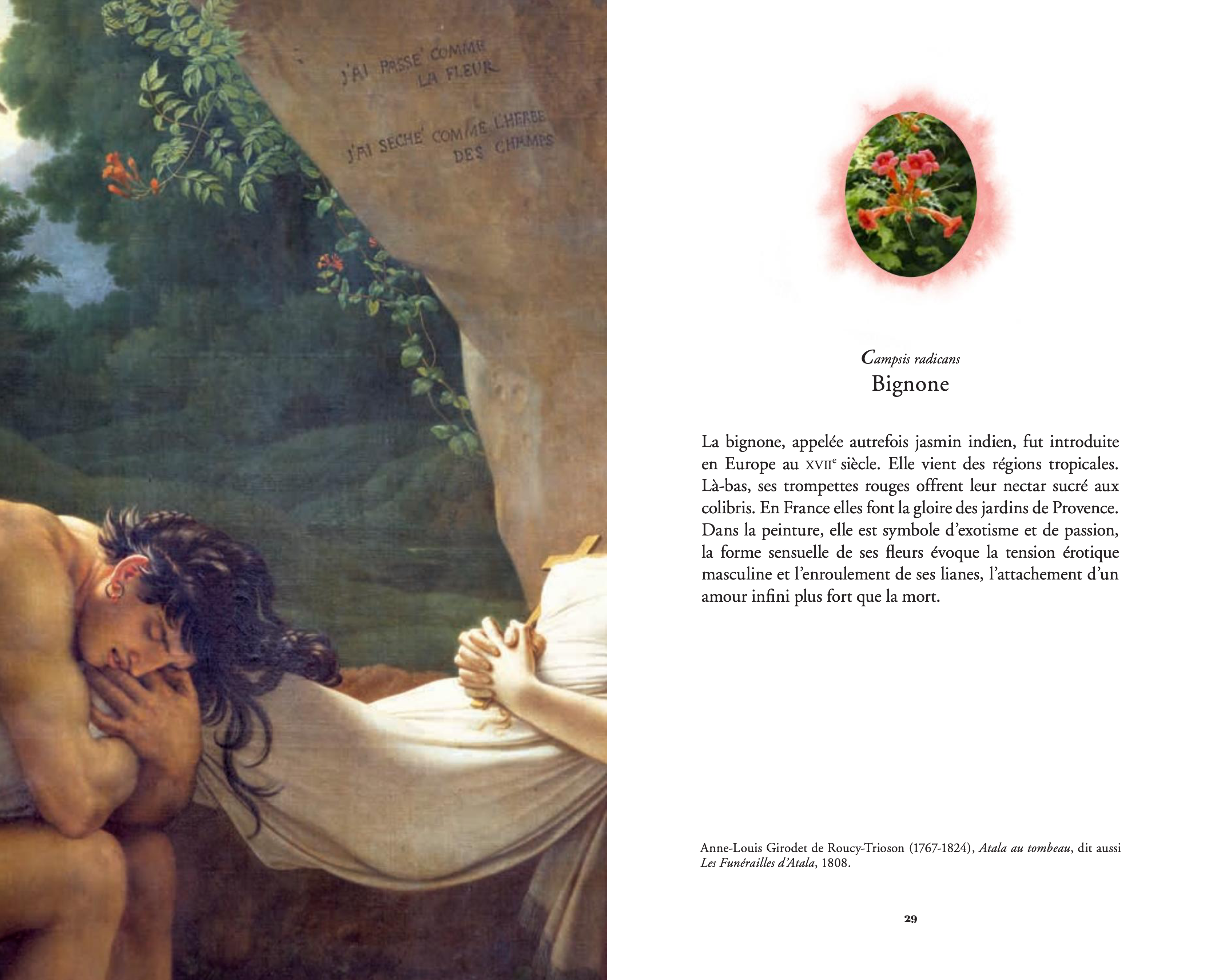 Jean-Michel Othoniel - L'Herbier merveilleux / The secret language of flowers