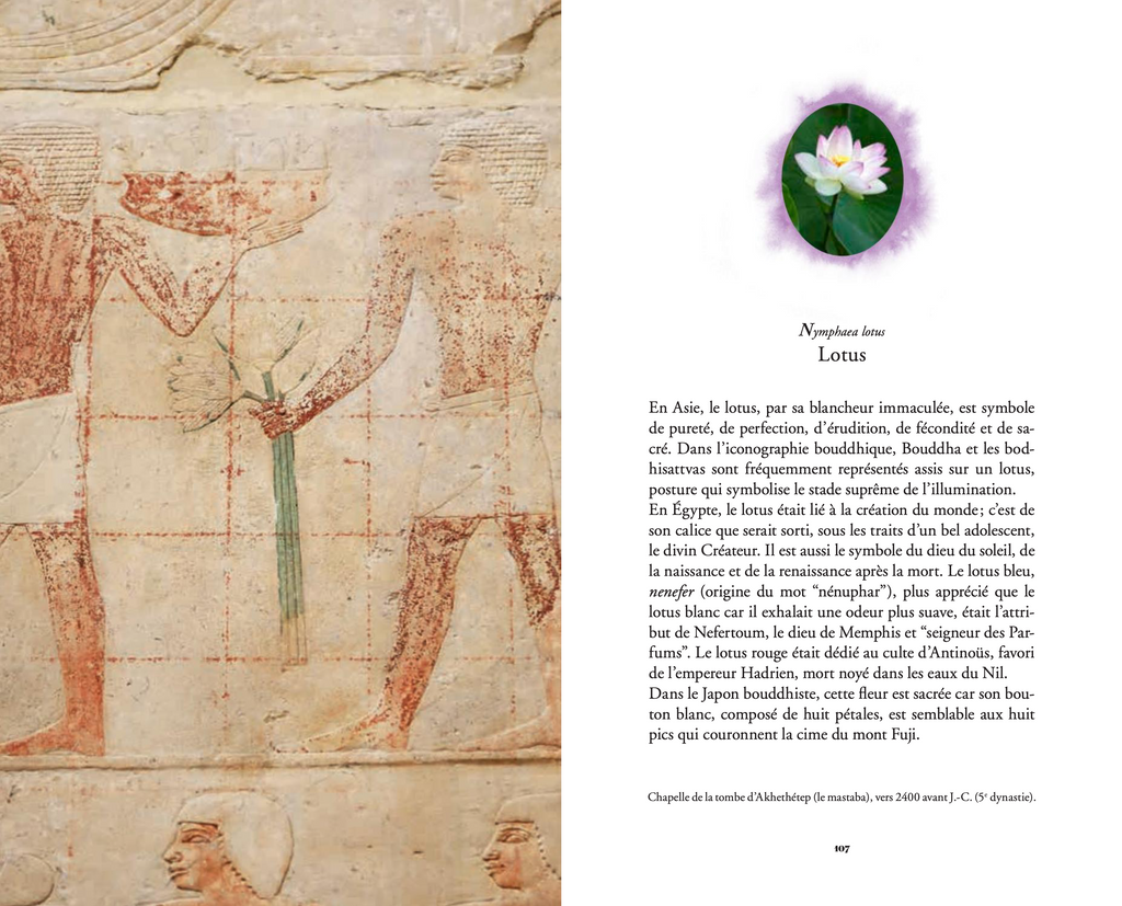 Jean-Michel Othoniel - L'Herbier merveilleux / The secret language of flowers