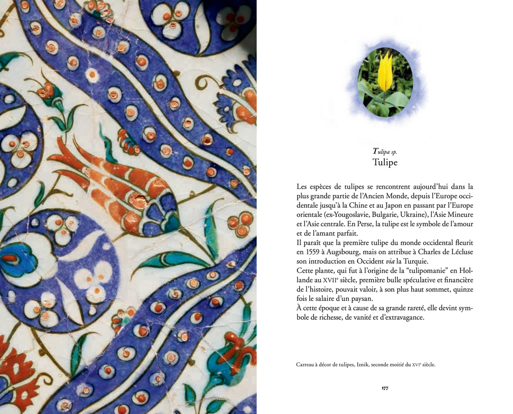 Jean-Michel Othoniel - L'Herbier merveilleux / The secret language of flowers