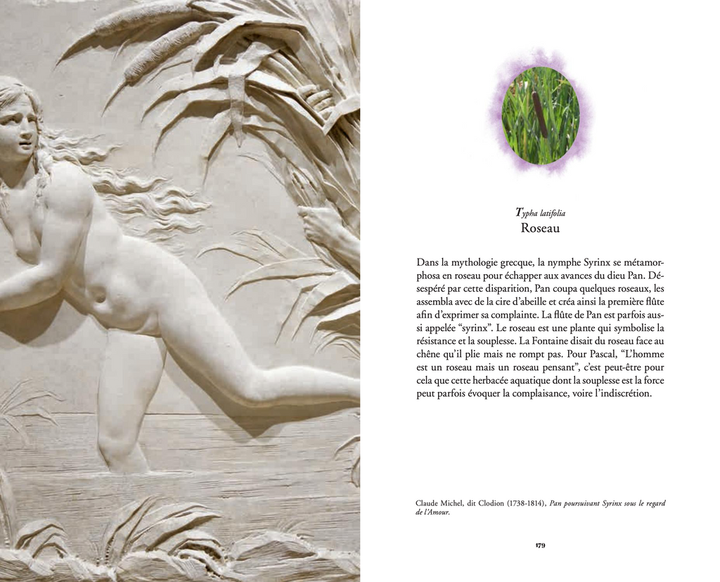 Jean-Michel Othoniel - L'Herbier merveilleux / The secret language of flowers