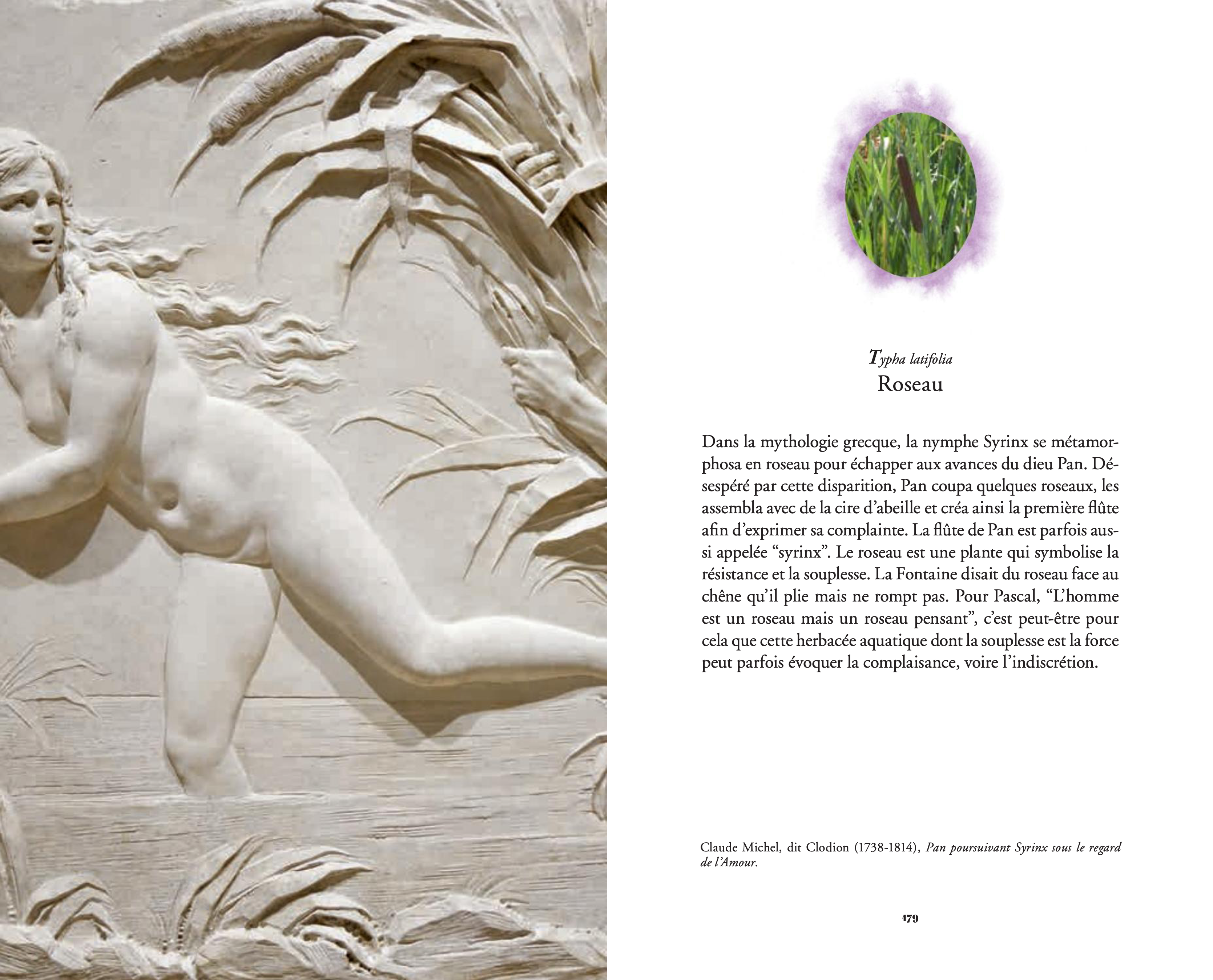 Jean-Michel Othoniel - L'Herbier merveilleux / The secret language of flowers