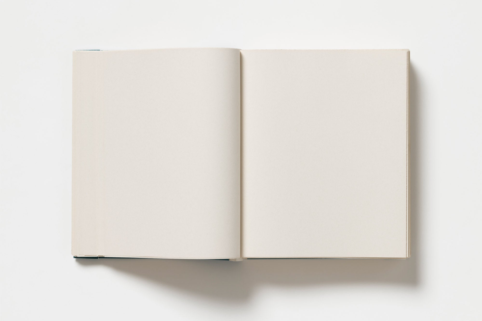 John Morgan - Usylessly