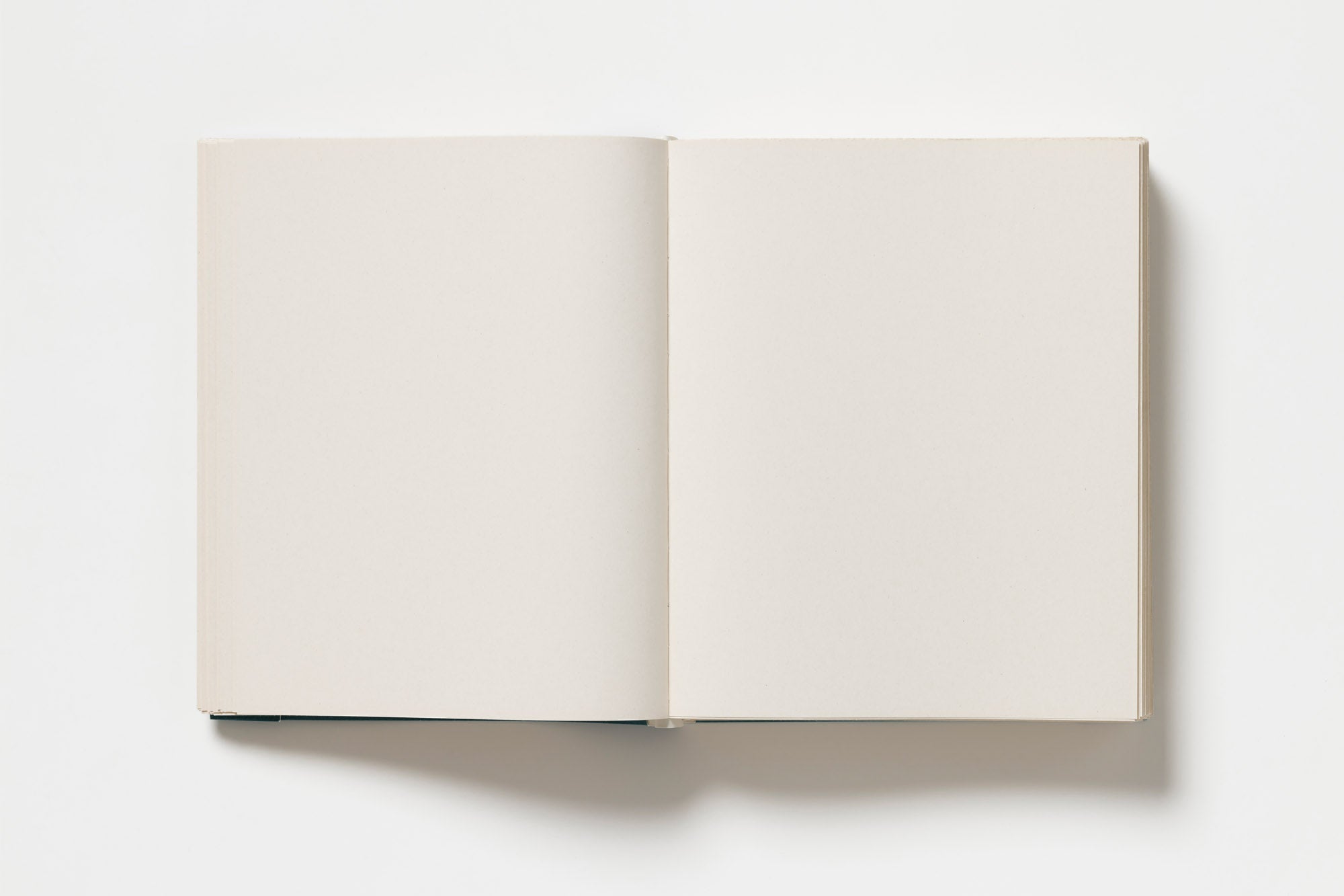 John Morgan - Usylessly