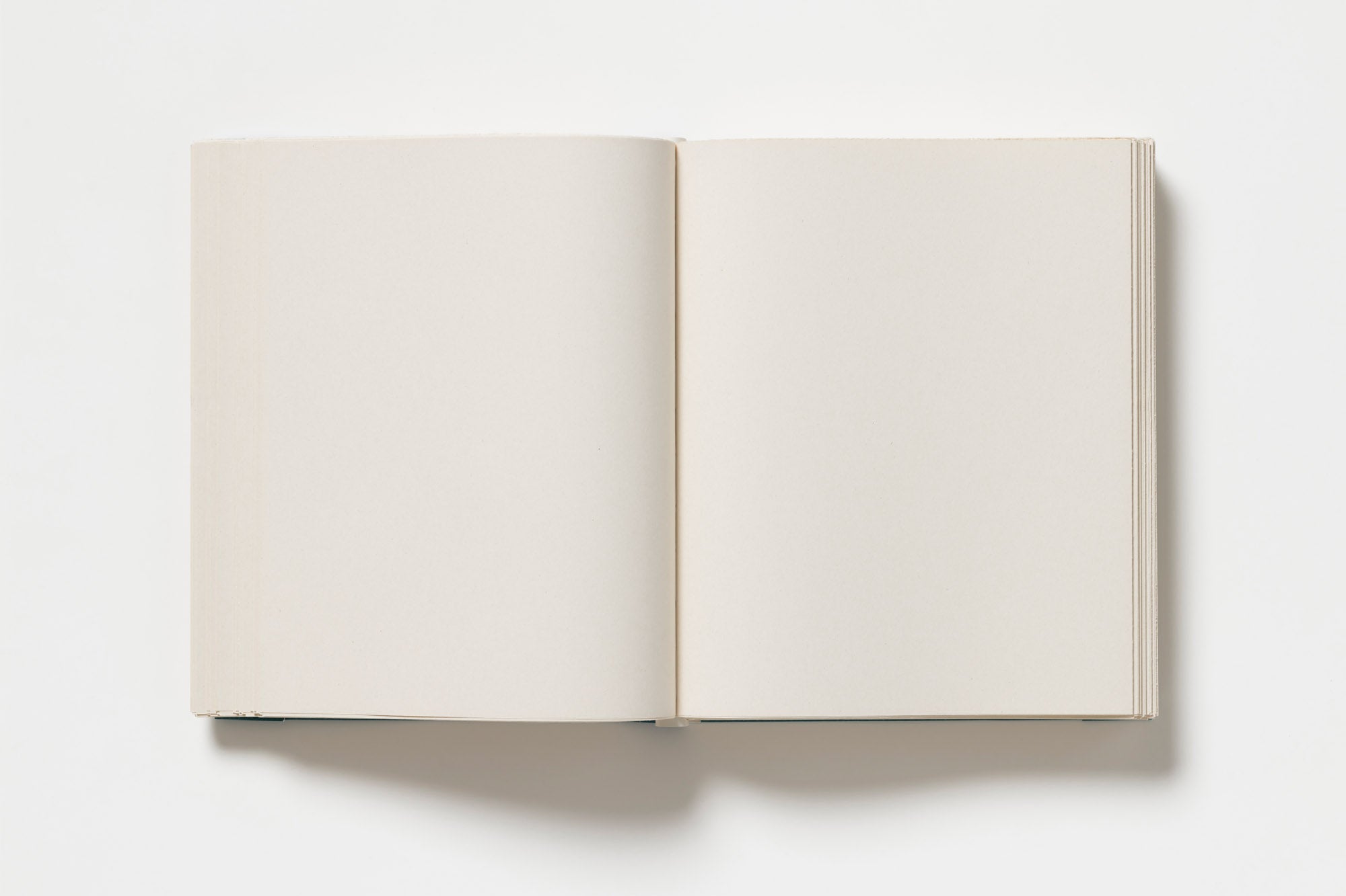 John Morgan - Usylessly