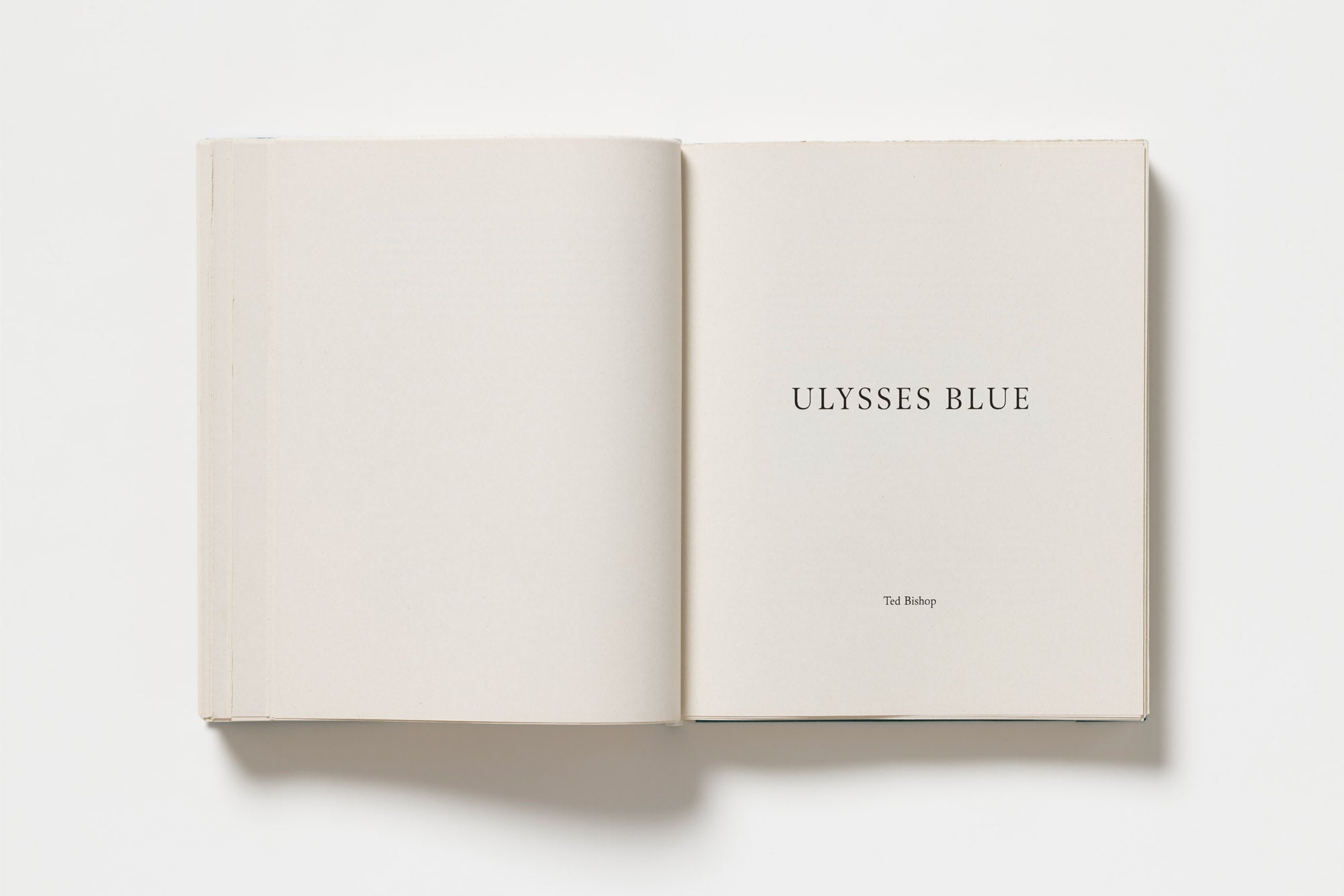 John Morgan - Usylessly