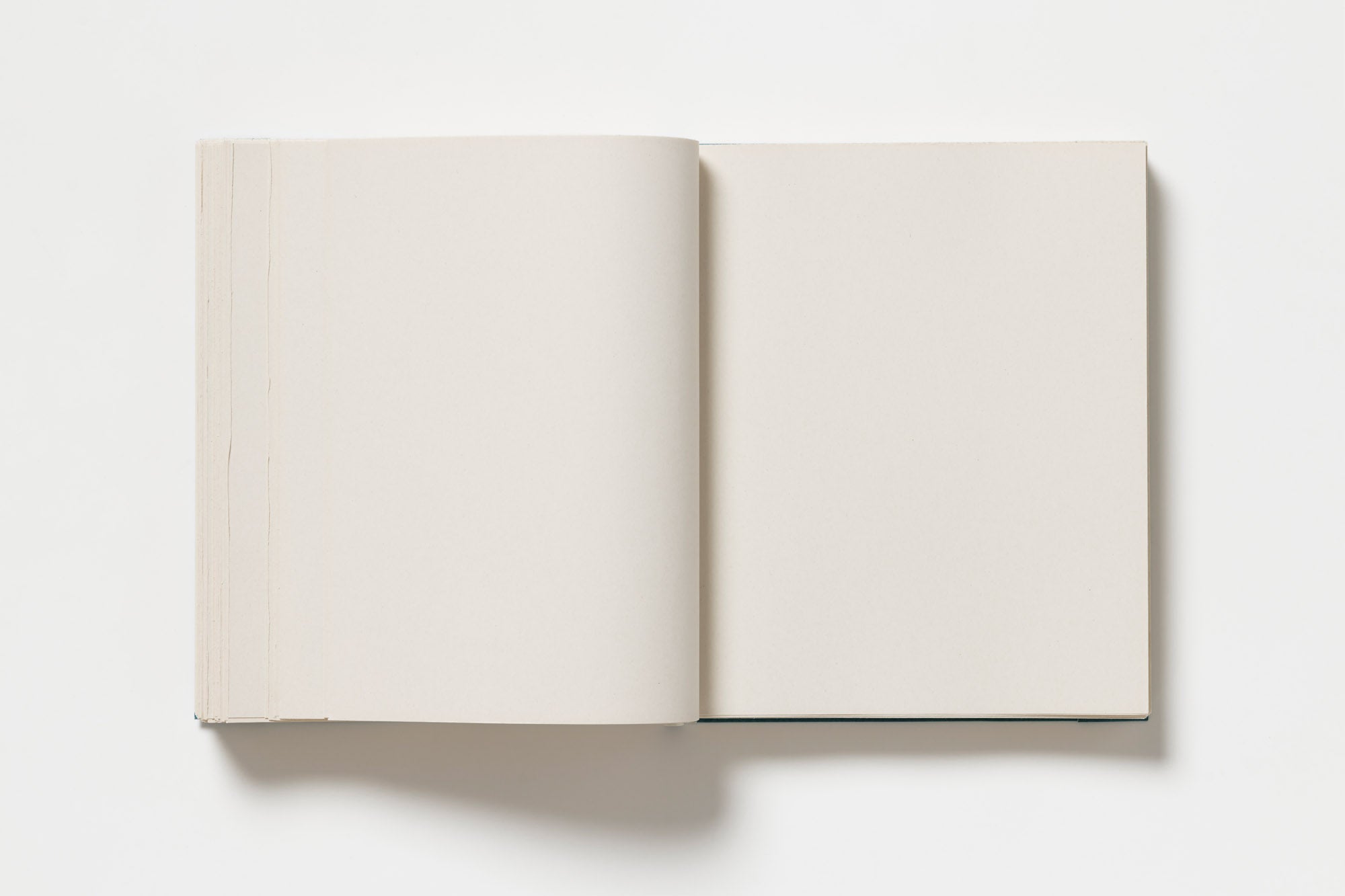 John Morgan - Usylessly