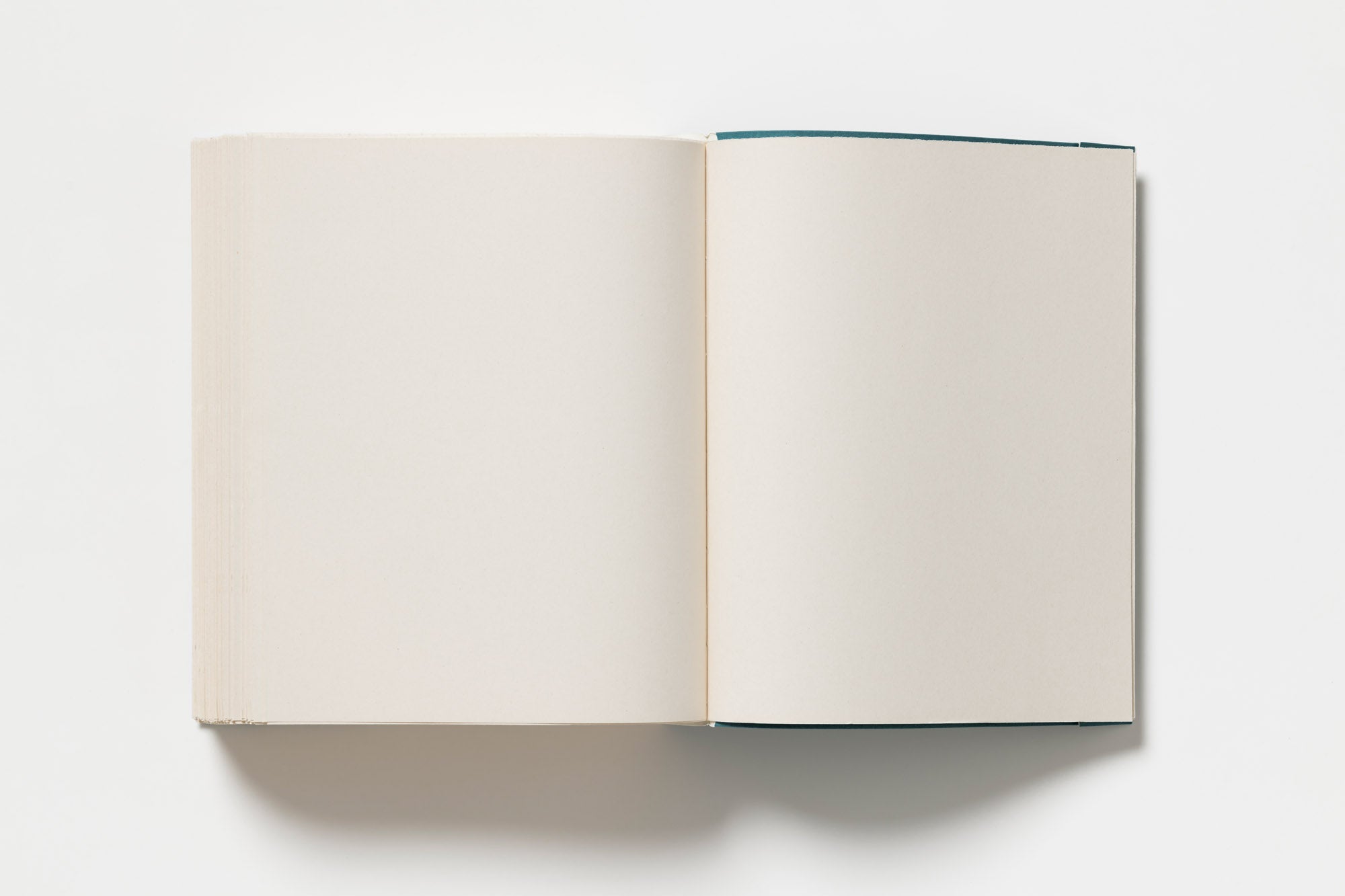 John Morgan - Usylessly