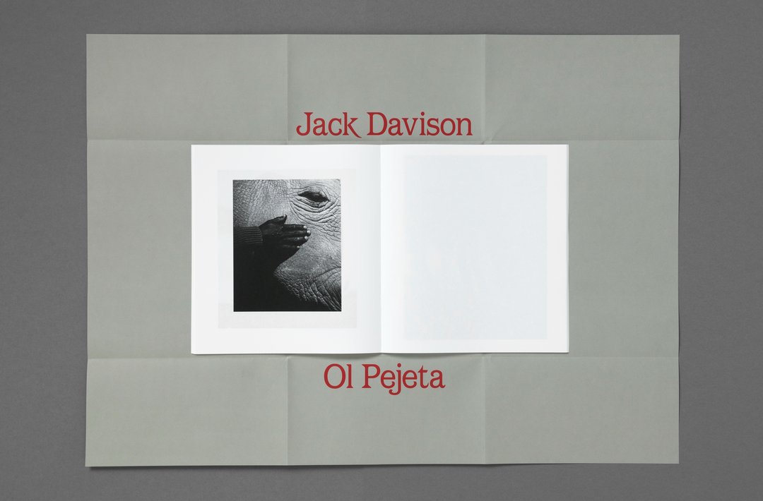 Jack Davison – Ol Pejeta