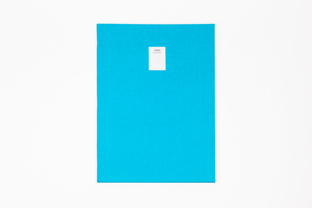 Jenny Holzer - Tender