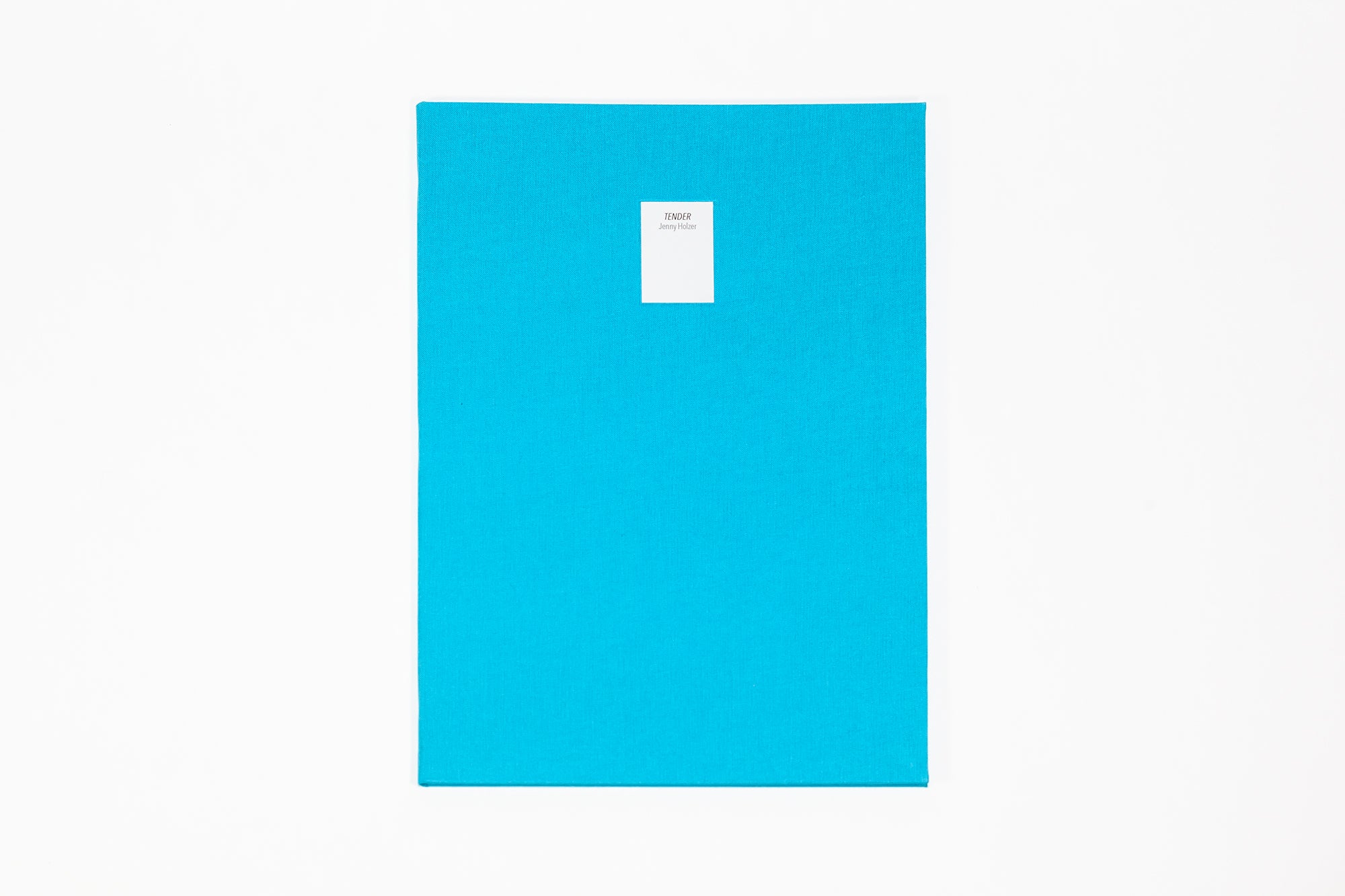 Jenny Holzer - Tender