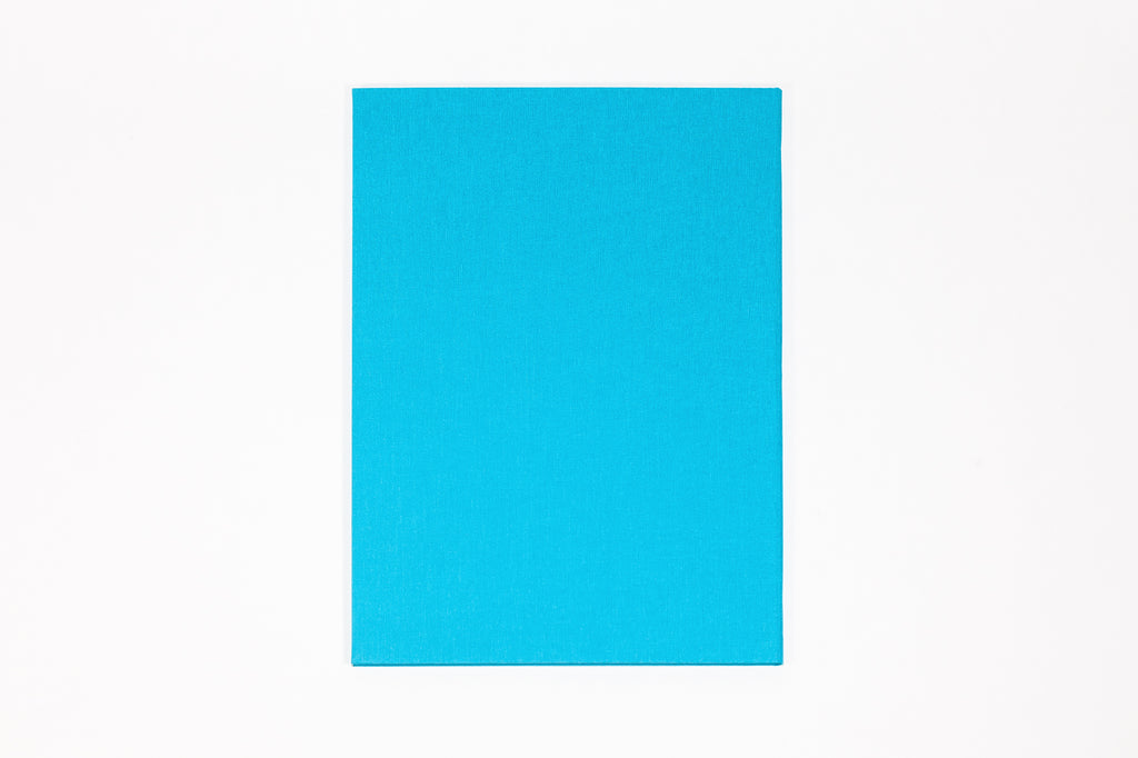 Jenny Holzer - Tender