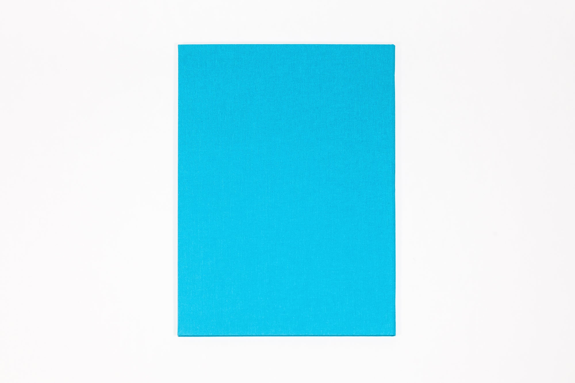 Jenny Holzer - Tender