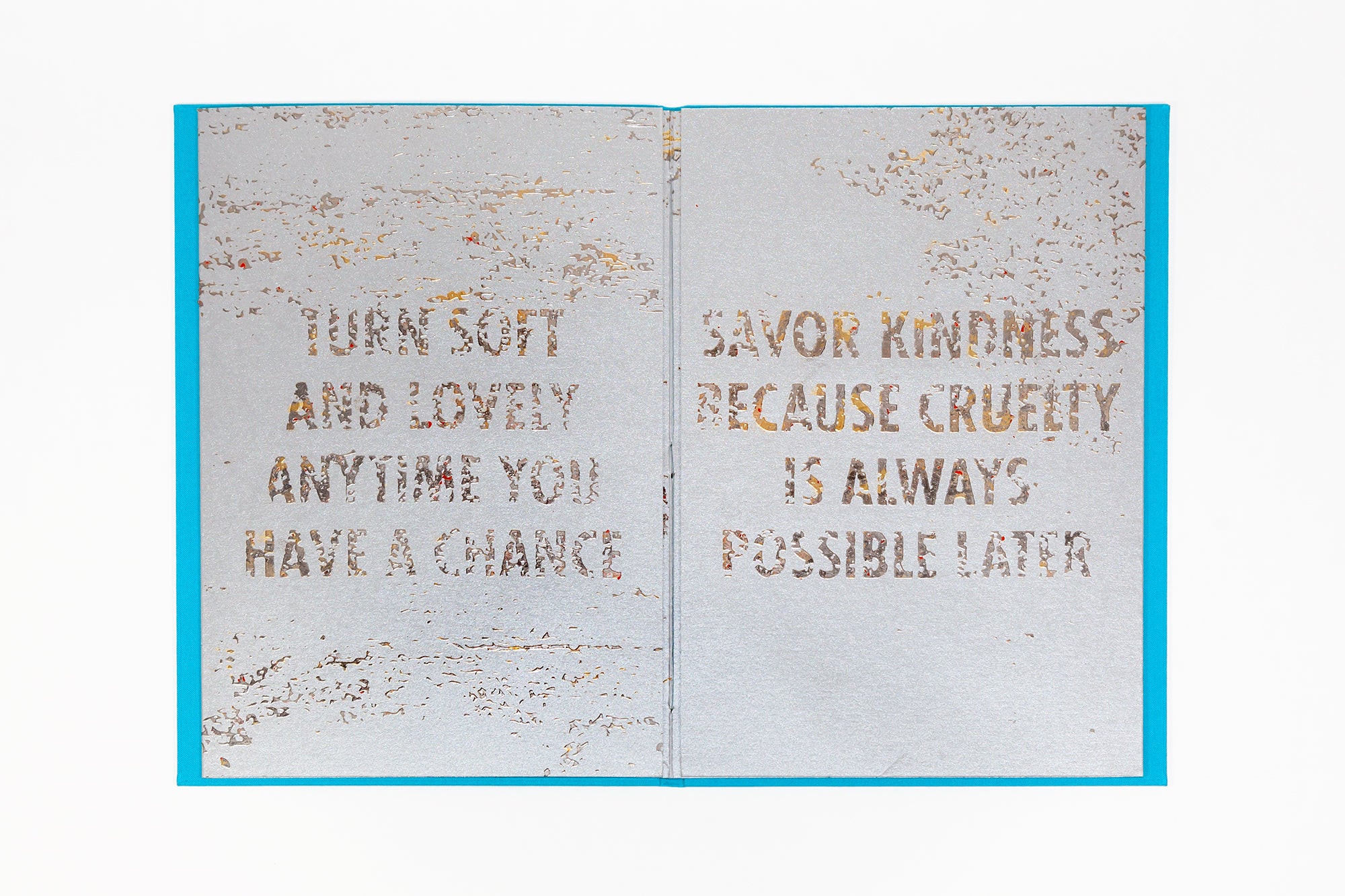 Jenny Holzer - Tender