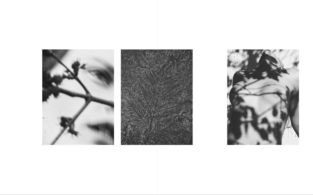 Annemarieke van Drimmelen - Tadaima